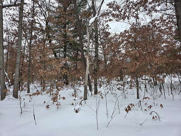 0.28 Acres of Land for Sale in Baldwin, Michigan