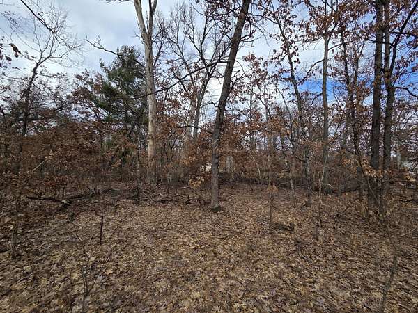 0.28 Acres of Residential Land for Sale in Baldwin, Michigan