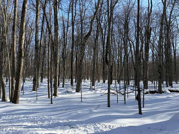 1.82 Acres of Residential Land for Sale in Newfoundland, Pennsylvania