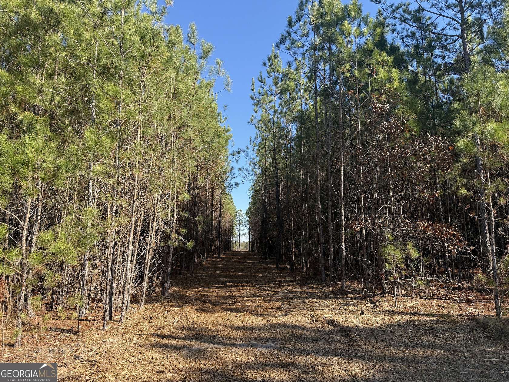 28 Acres of Land for Sale in Tallassee, Alabama