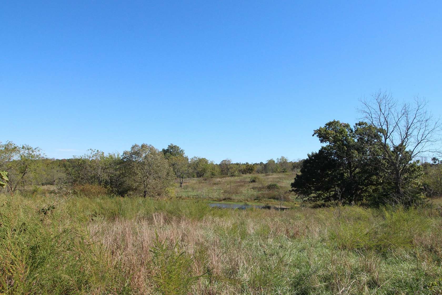 20.3 Acres of Recreational Land & Farm for Sale in Myrtle, Missouri