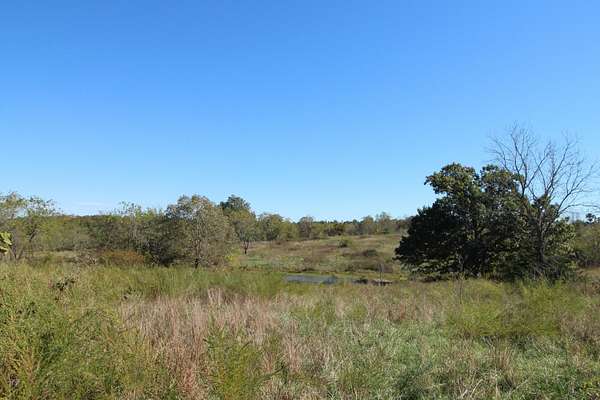 20.3 Acres of Recreational Land & Farm for Sale in Myrtle, Missouri