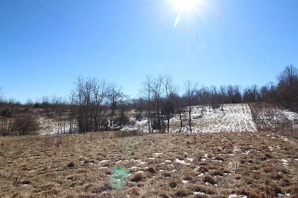 20.3 Acres of Recreational Land & Farm for Sale in Myrtle, Missouri