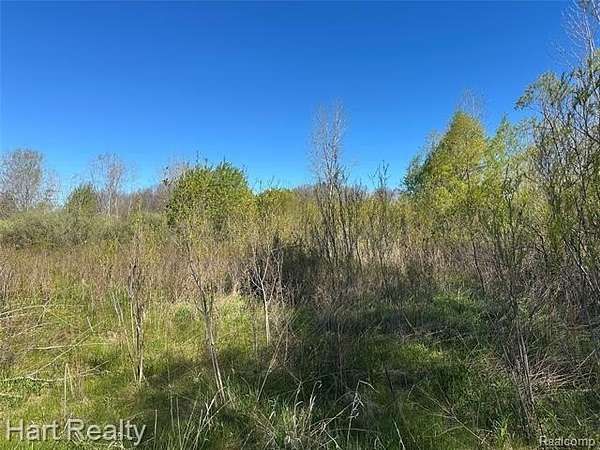 3.16 Acres of Residential Land for Sale in Dryden Township, Michigan
