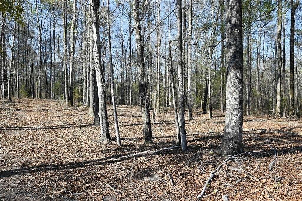 3.32 Acres of Residential Land for Sale in Auburn, Alabama