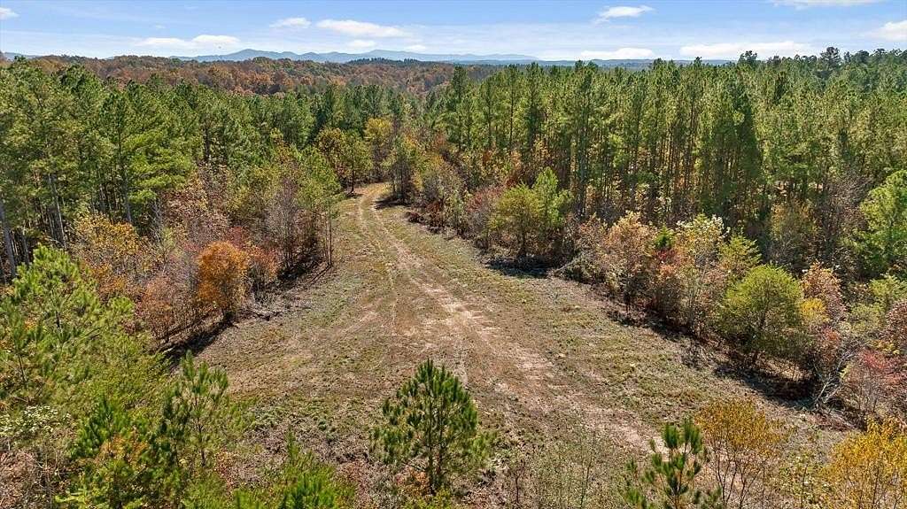 15.8 Acres of Land for Sale in Chatsworth, Georgia