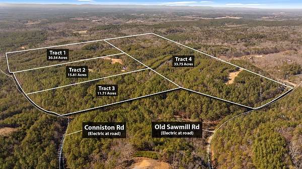 11.7 Acres of Land for Sale in Chatsworth, Georgia