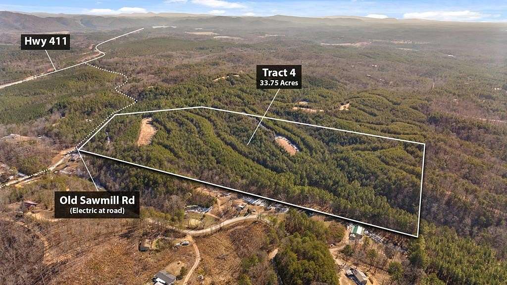 33.8 Acres of Land for Sale in Chatsworth, Georgia