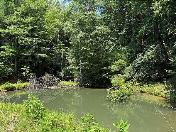 12.8 Acres of Recreational & Residential Land for Sale in Purlear, North Carolina