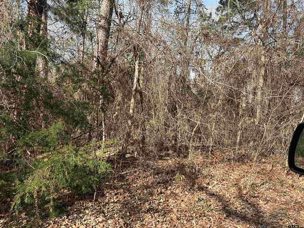 0.36 Acres of Residential Land for Sale in Bullard, Texas