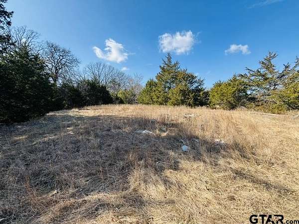 5 Acres of Residential Land for Sale in Point, Texas