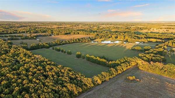 20 Acres of Recreational Land for Sale in Pattonville, Texas