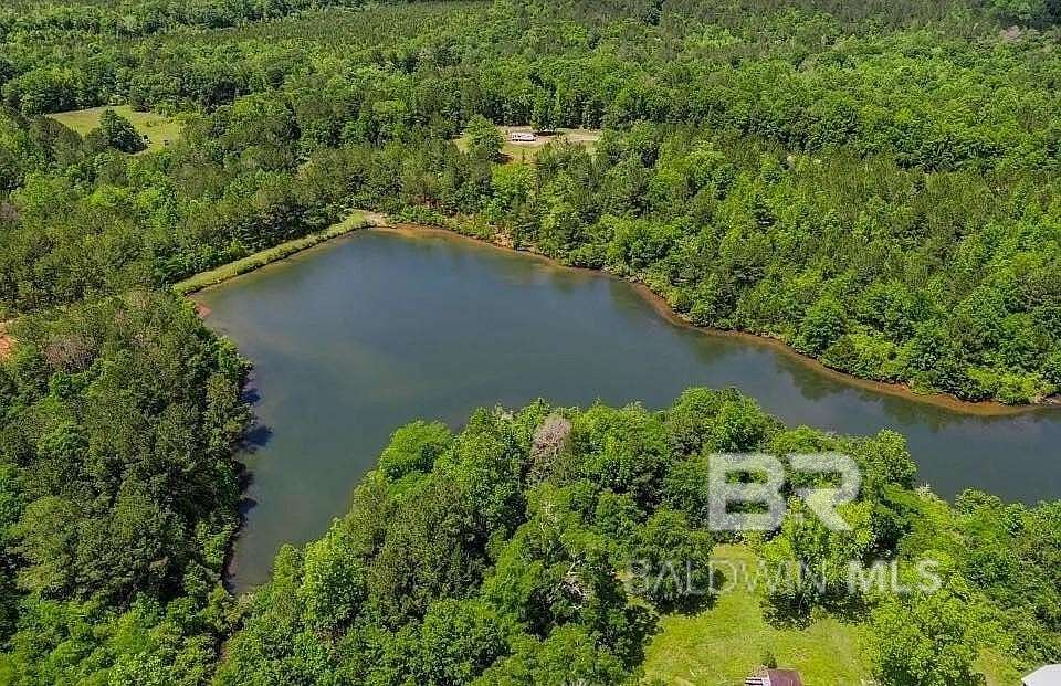 187 Acres of Land for Sale in Evergreen, Alabama