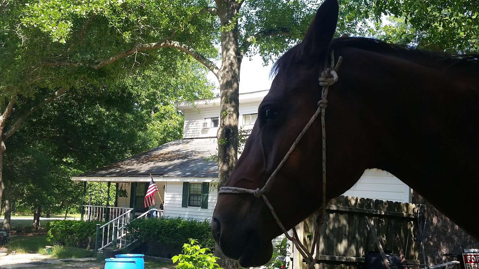 5.5 Acres of Residential Land with Home for Lease in Warrenville, South Carolina