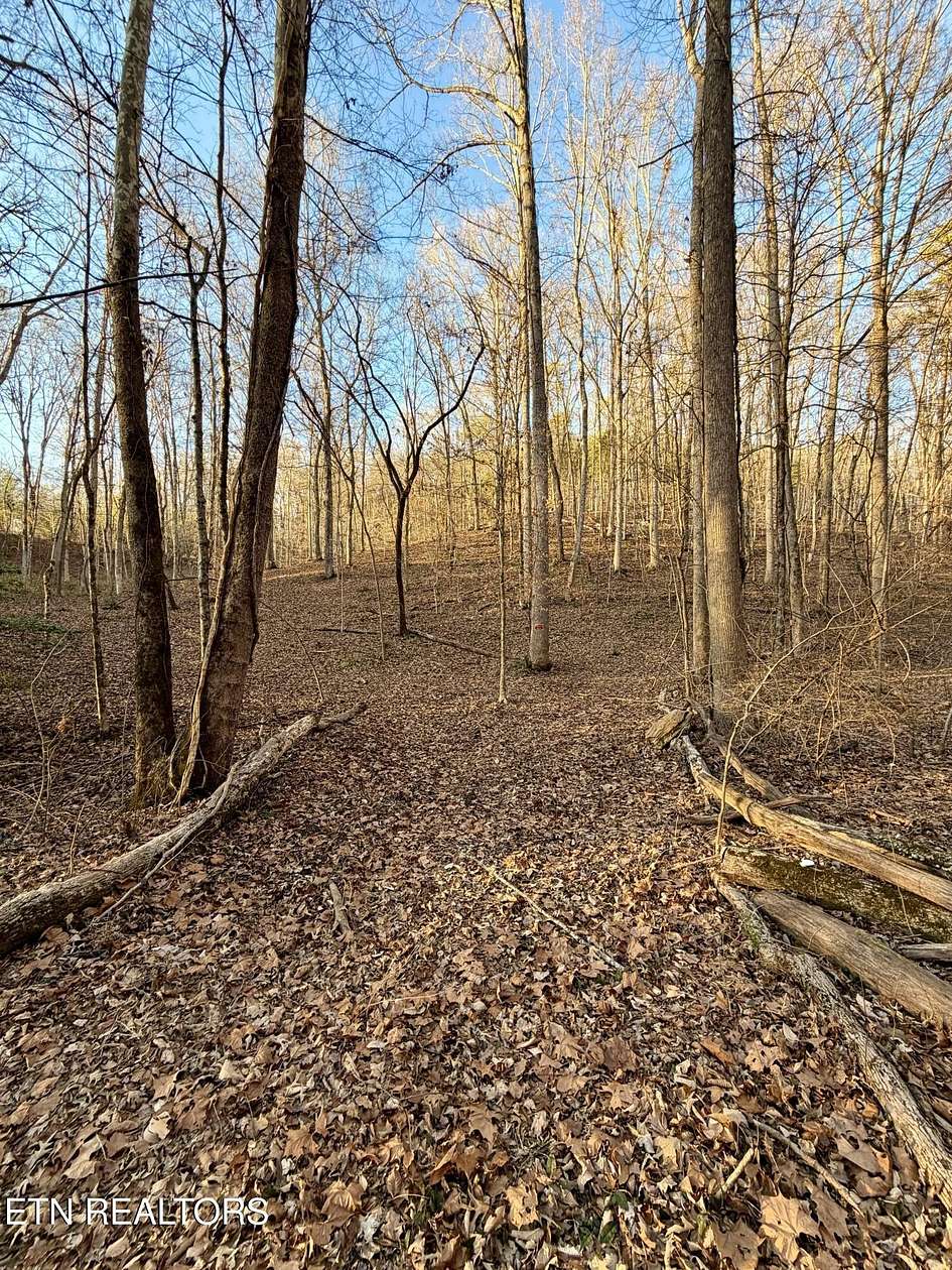 5 Acres of Land for Sale in Maryville, Tennessee