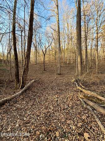 5 Acres of Land for Sale in Maryville, Tennessee