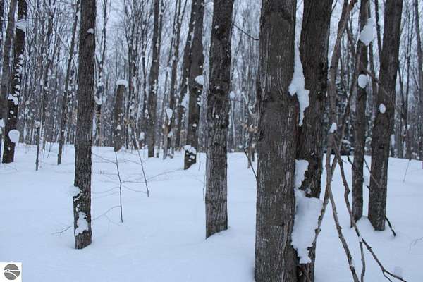 20 Acres of Recreational Land for Sale in Mancelona, Michigan