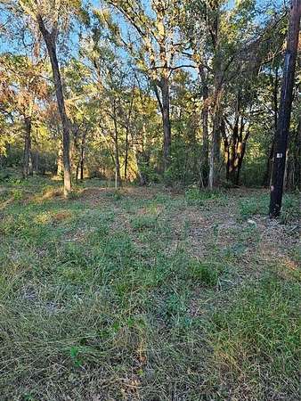 0.14 Acres of Residential Land for Sale in Trinidad, Texas