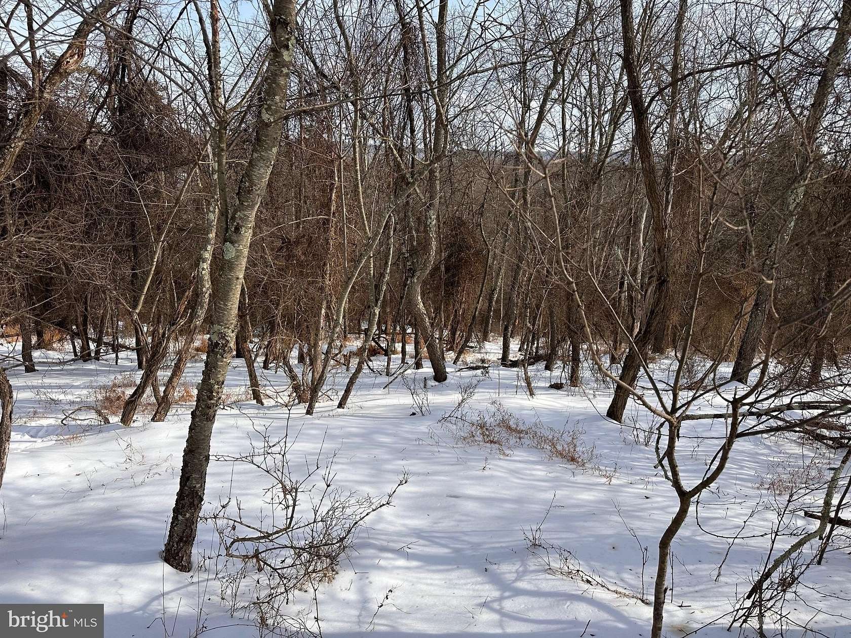 1 Acre of Land for Sale in Berkeley Springs, West Virginia