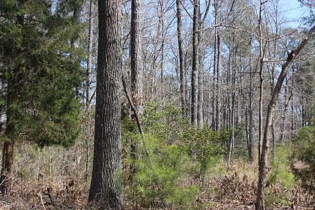 0.22 Acres of Residential Land for Sale in Greenbackville, Virginia