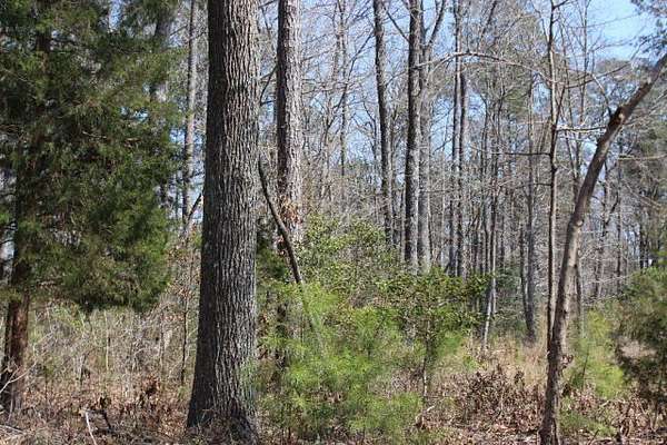 0.22 Acres of Residential Land for Sale in Greenbackville, Virginia