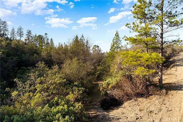 40 Acres of Land for Sale in Sutter Creek, California