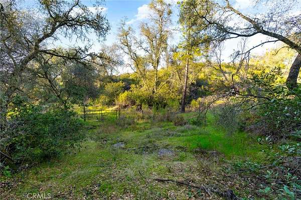 40 Acres of Land for Sale in Sutter Creek, California