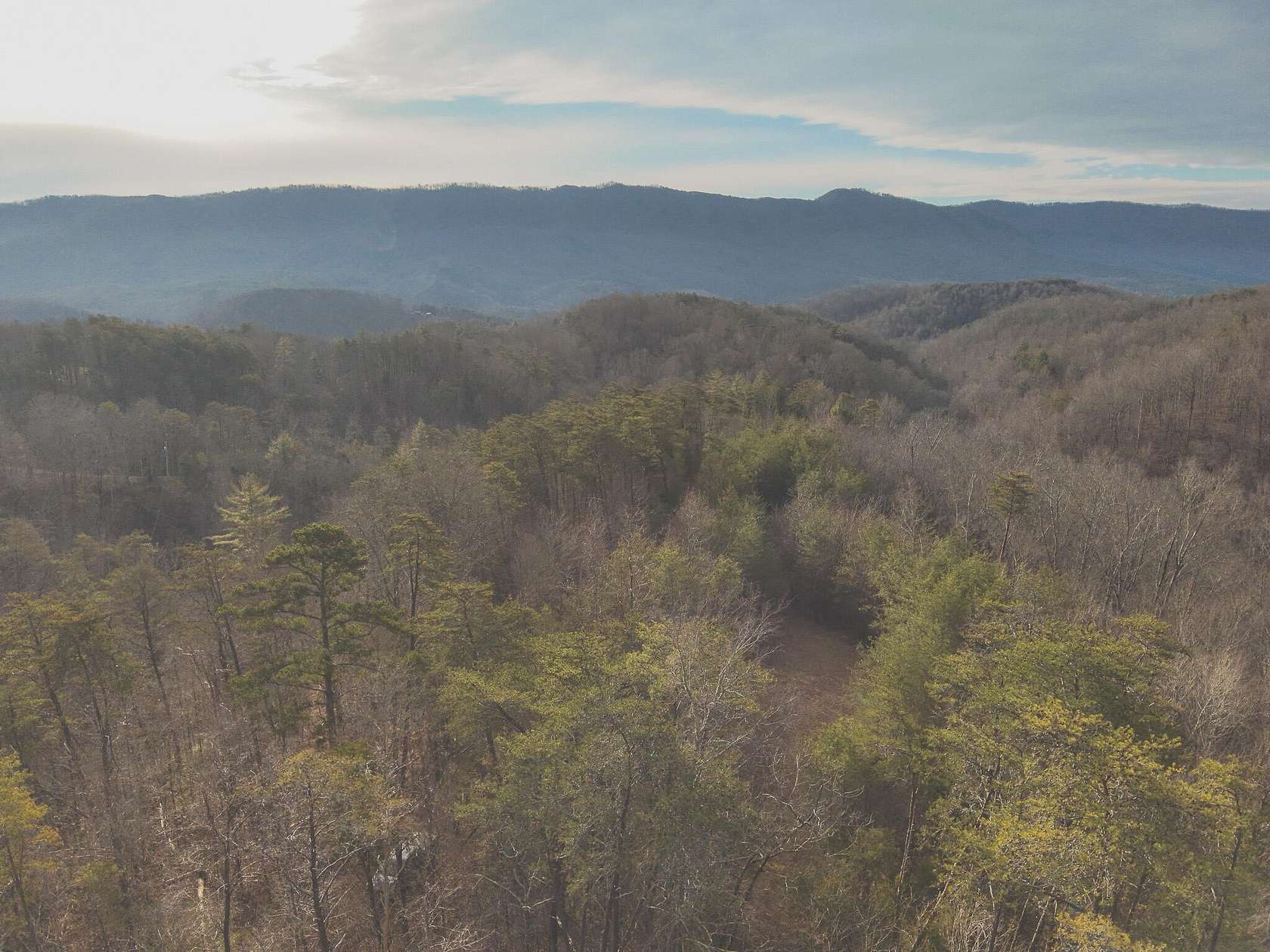 20 Acres of Recreational & Residential Land for Sale in Englewood, Tennessee