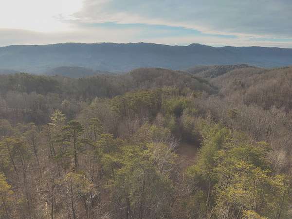 20 Acres of Recreational & Residential Land for Sale in Englewood, Tennessee