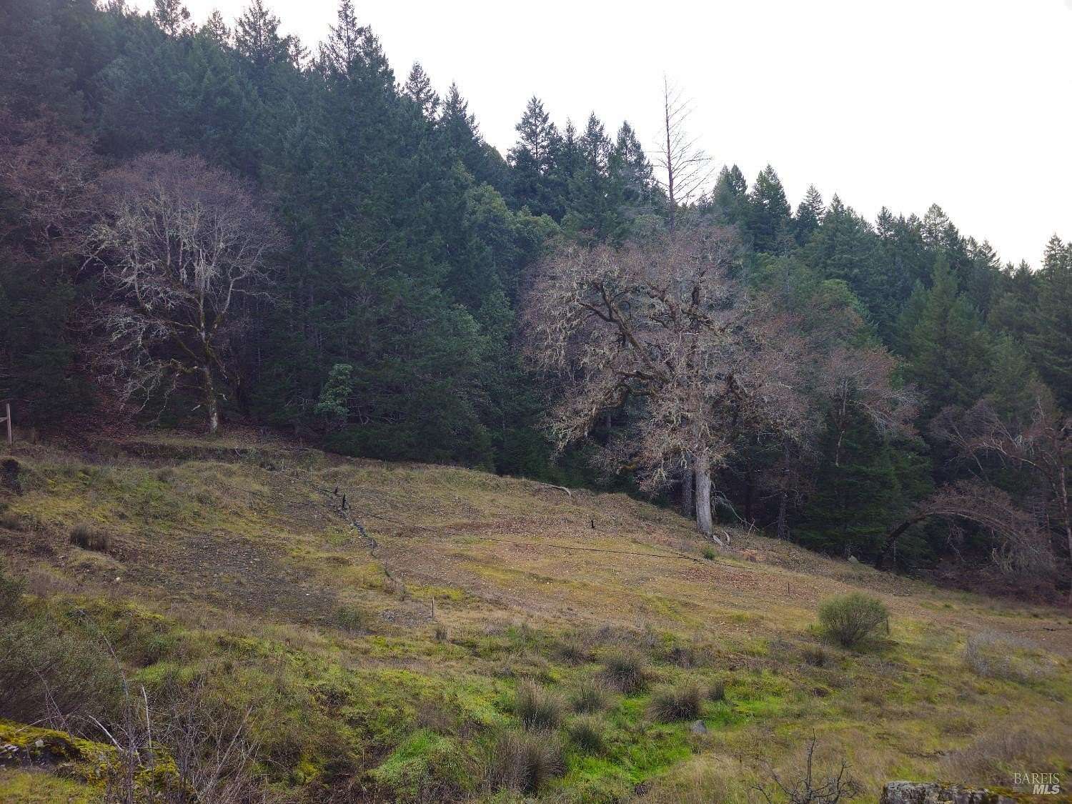 20.3 Acres of Land for Sale in Leggett, California