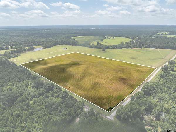 25 Acres of Agricultural Land for Sale in Palestine, Texas