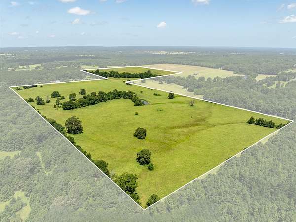 94.2 Acres of Land for Sale in Palestine, Texas