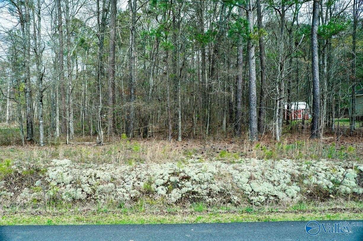 Residential Land for Auction in Rainbow City, Alabama