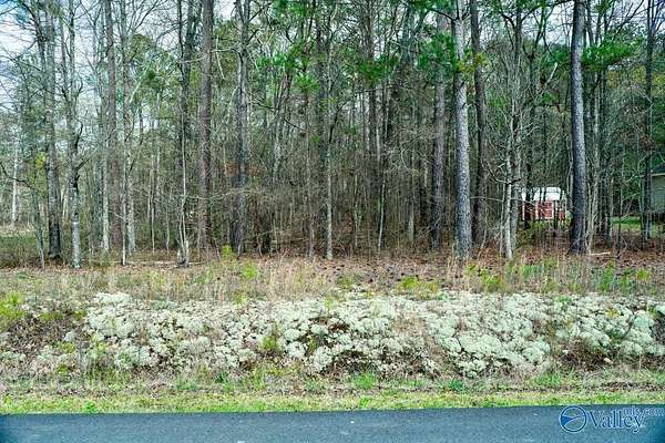 Residential Land for Auction in Rainbow City, Alabama