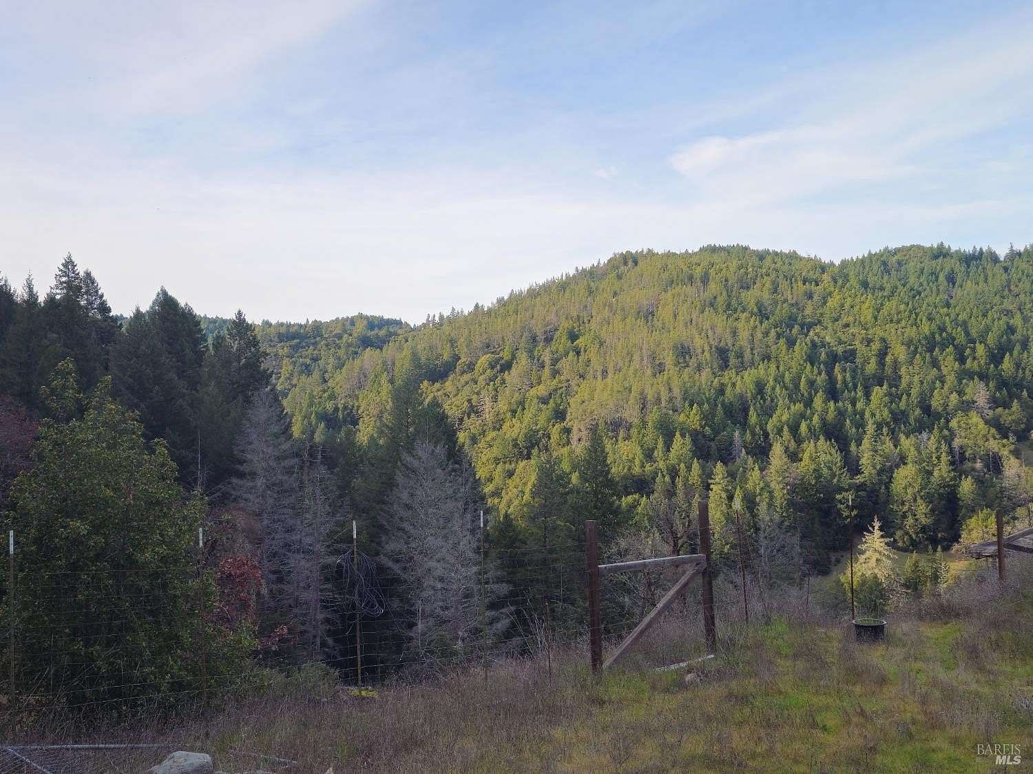 20.4 Acres of Land for Sale in Leggett, California