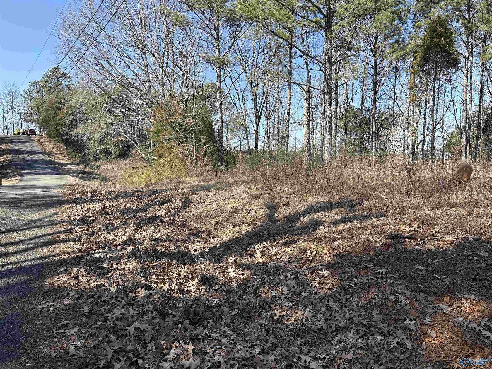 0.6 Acres of Land for Sale in Scottsboro, Alabama