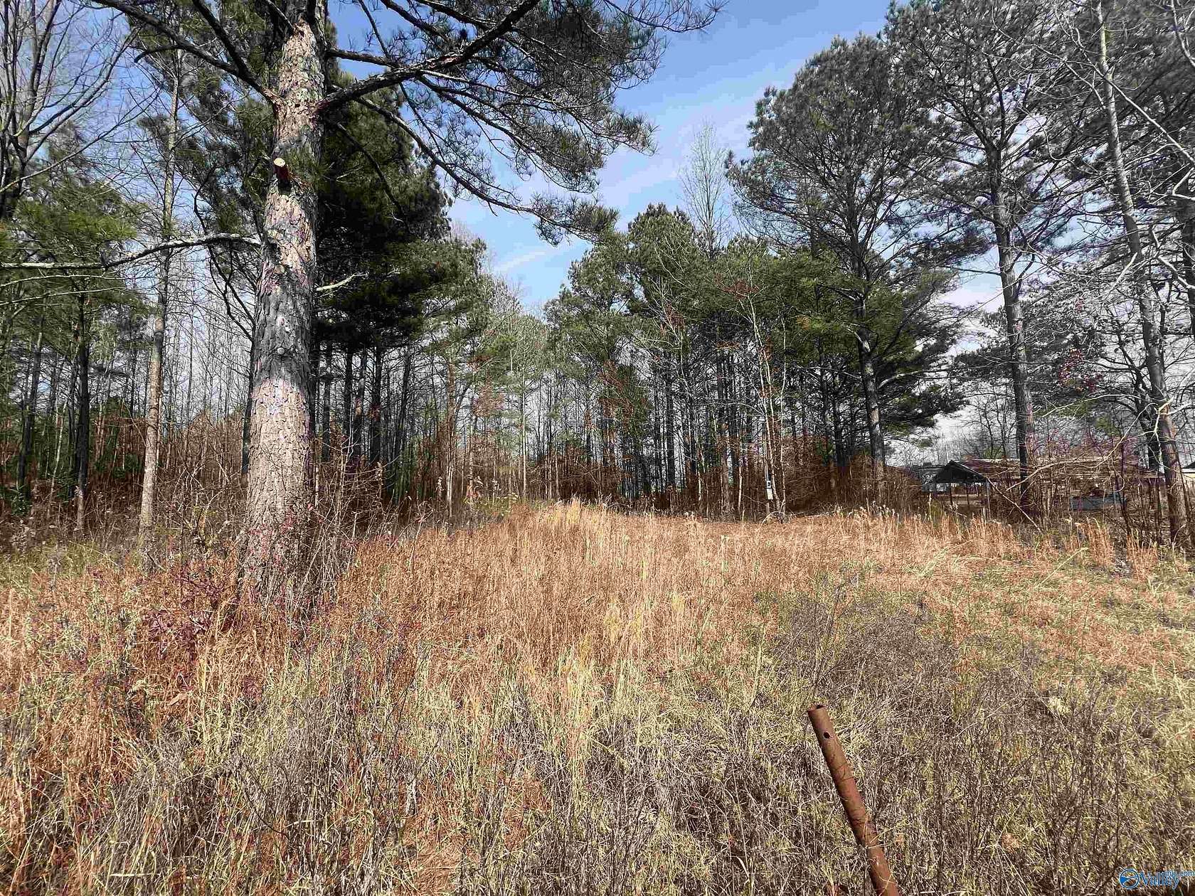 Residential Land for Sale in Centre, Alabama