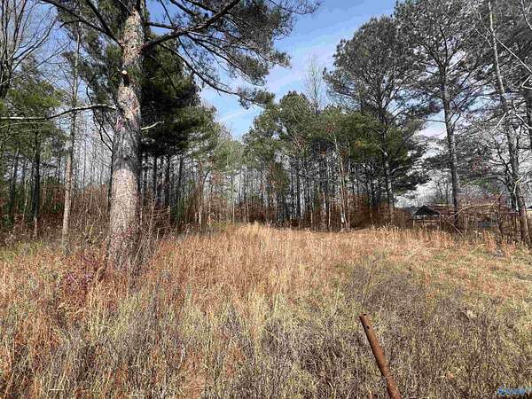 Residential Land for Sale in Centre, Alabama