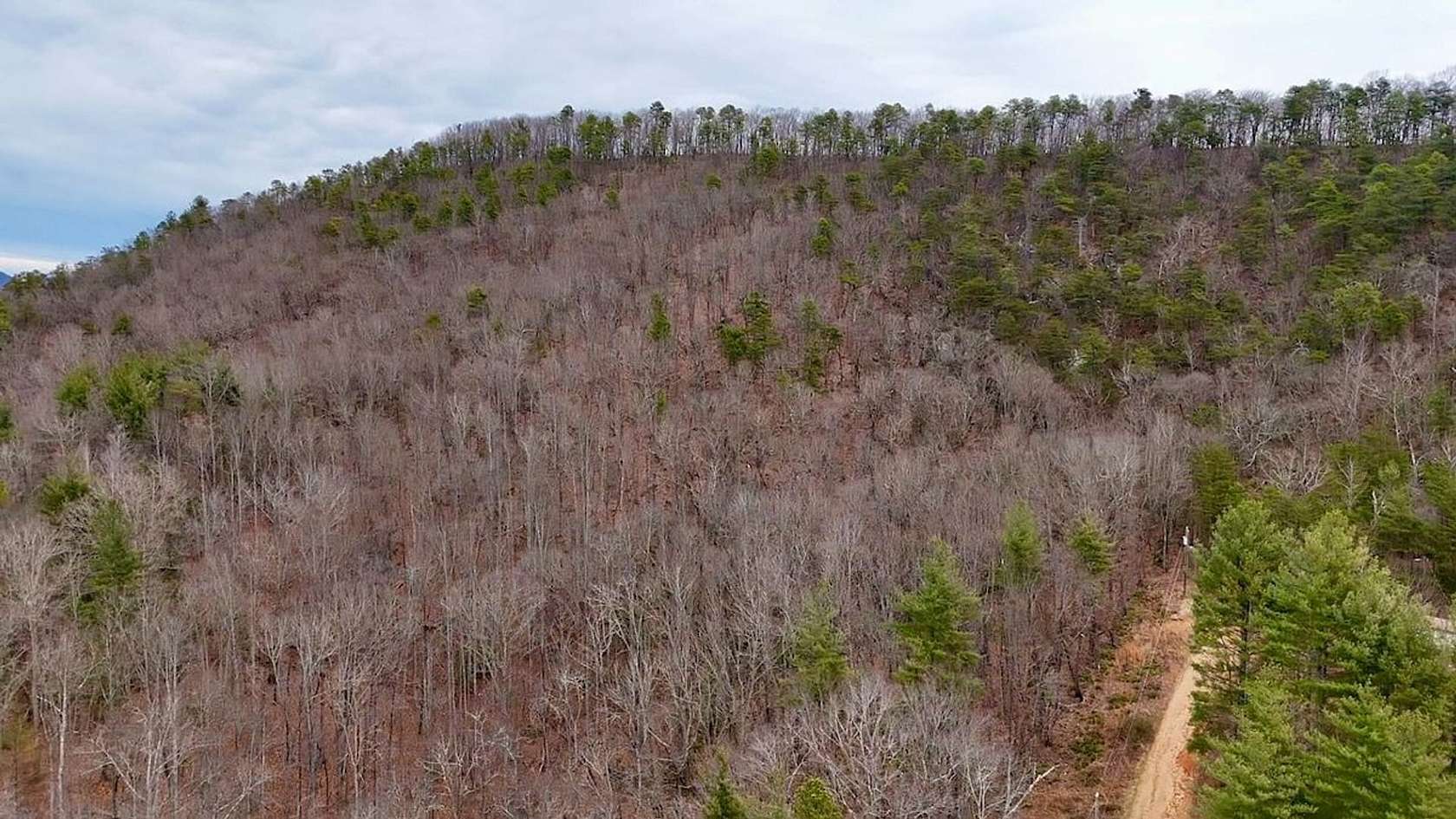 7 Acres of Land for Sale in Low Gap, North Carolina