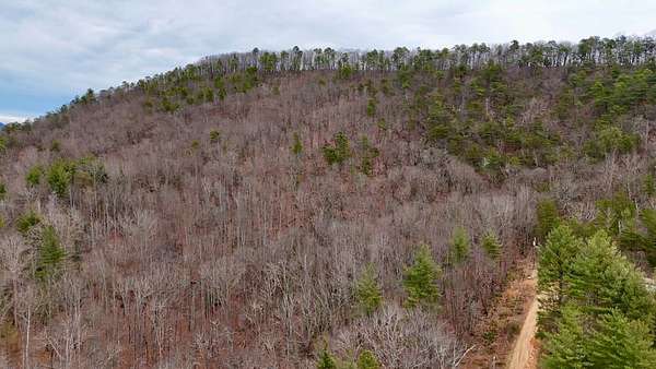 7 Acres of Land for Sale in Low Gap, North Carolina