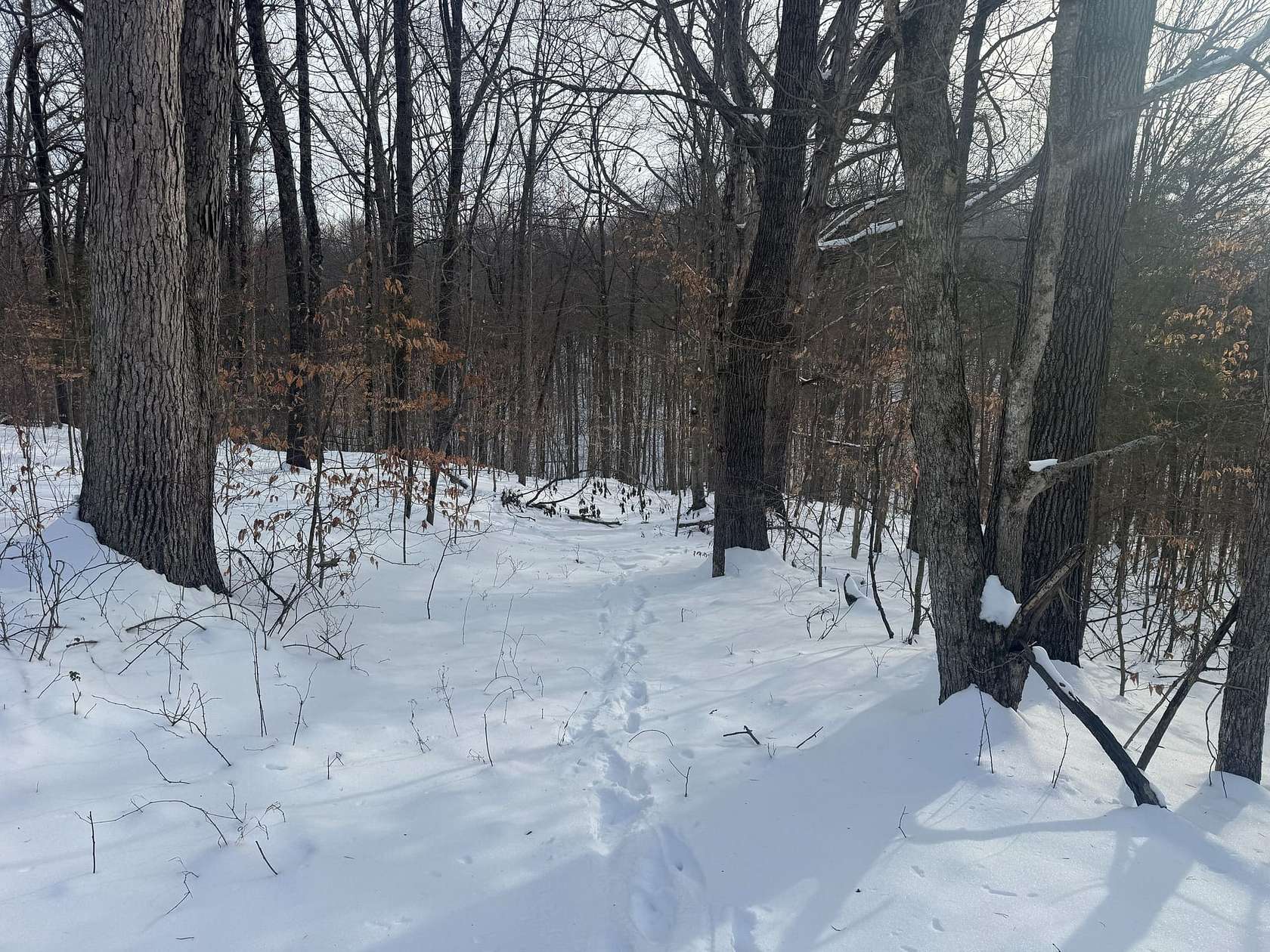 3.3 Acres of Land for Sale in Old Pekin, Indiana