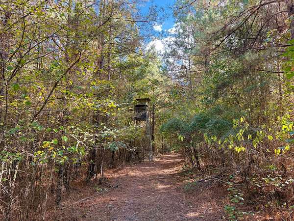98.5 Acres of Recreational Land for Sale in Rison, Arkansas