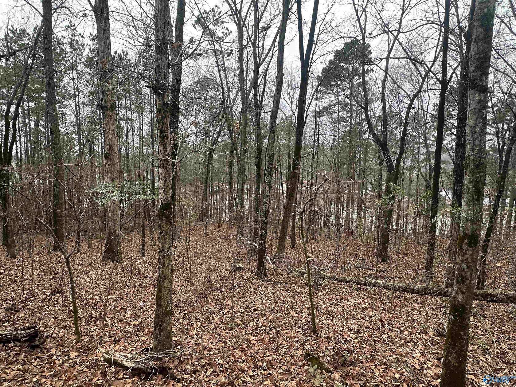 0.62 Acres of Land for Sale in Rainbow City, Alabama