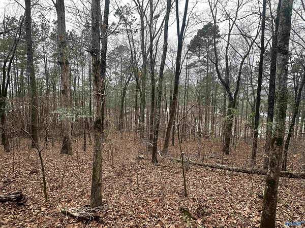0.62 Acres of Land for Sale in Rainbow City, Alabama
