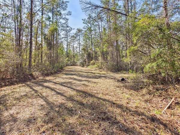 43.4 Acres of Recreational Land for Sale in Greenville, Florida