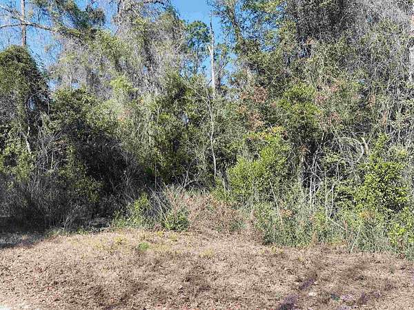 1 Acre of Residential Land for Sale in Crawfordville, Florida