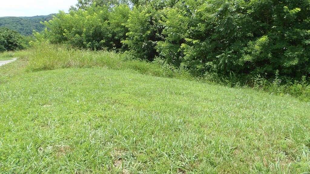 0.56 Acres of Residential Land for Sale in Hilham, Tennessee