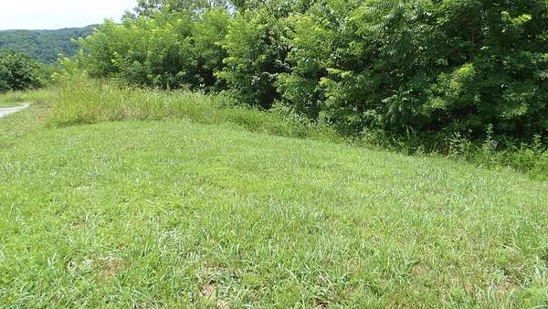 0.56 Acres of Residential Land for Sale in Hilham, Tennessee