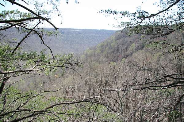 6 Acres of Residential Land for Sale in Monteagle, Tennessee