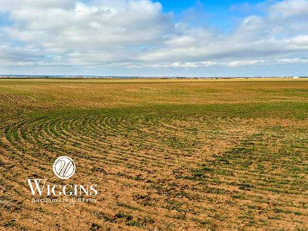 80 Acres of Recreational Land & Farm for Auction in Okeene, Oklahoma